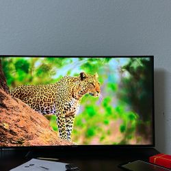 Sony LED TV