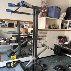 Powertec Leverage Pull Up And Dip Station 