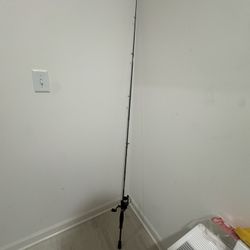 Unused Fishing Pole 