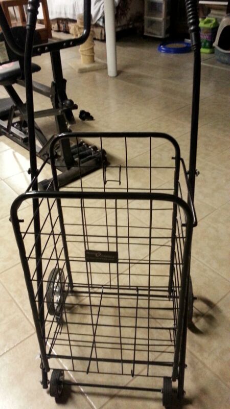 Easy wheels cart