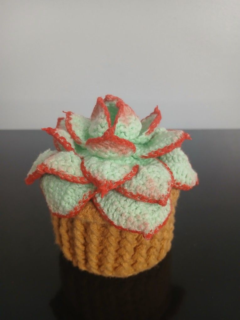 Handmade Crochet Succulent In Pot