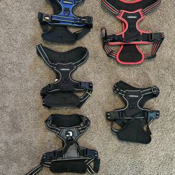 Dog Harnesses $10 Each