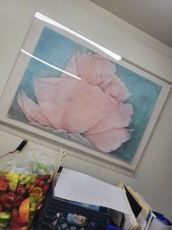 Paint frame