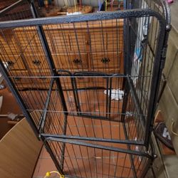 Dog Kennel