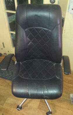 Computer / Office Chair
