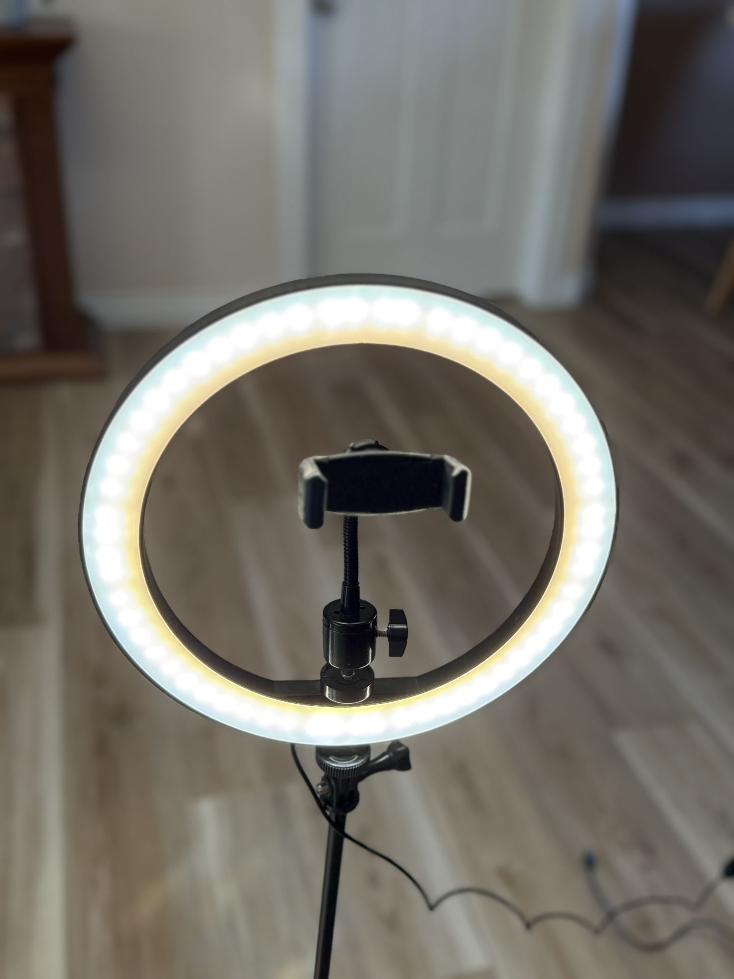  Ring Light with Adjustable Stand