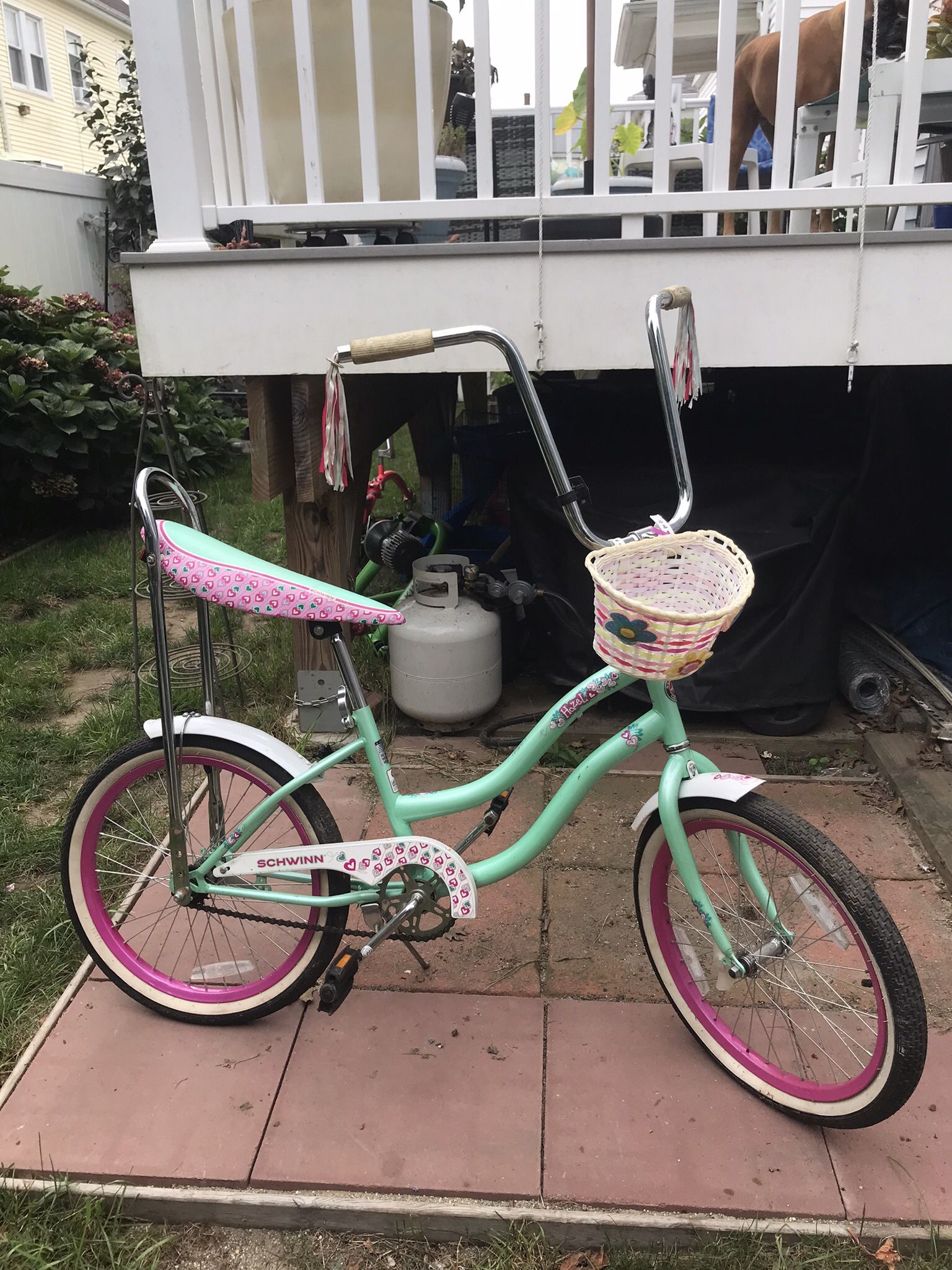 20 inch Schwinn hazel kids bike for girls and boys age 7 up