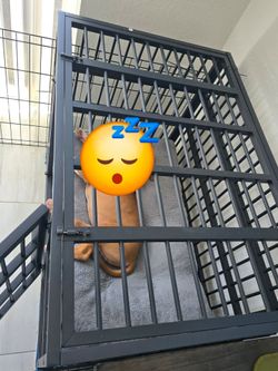 Heavy duty dog crate