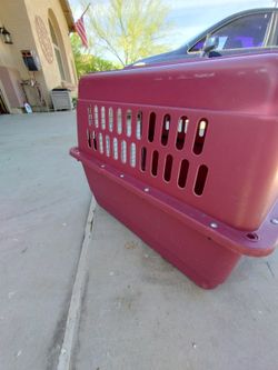 Dog Or Cat Crate