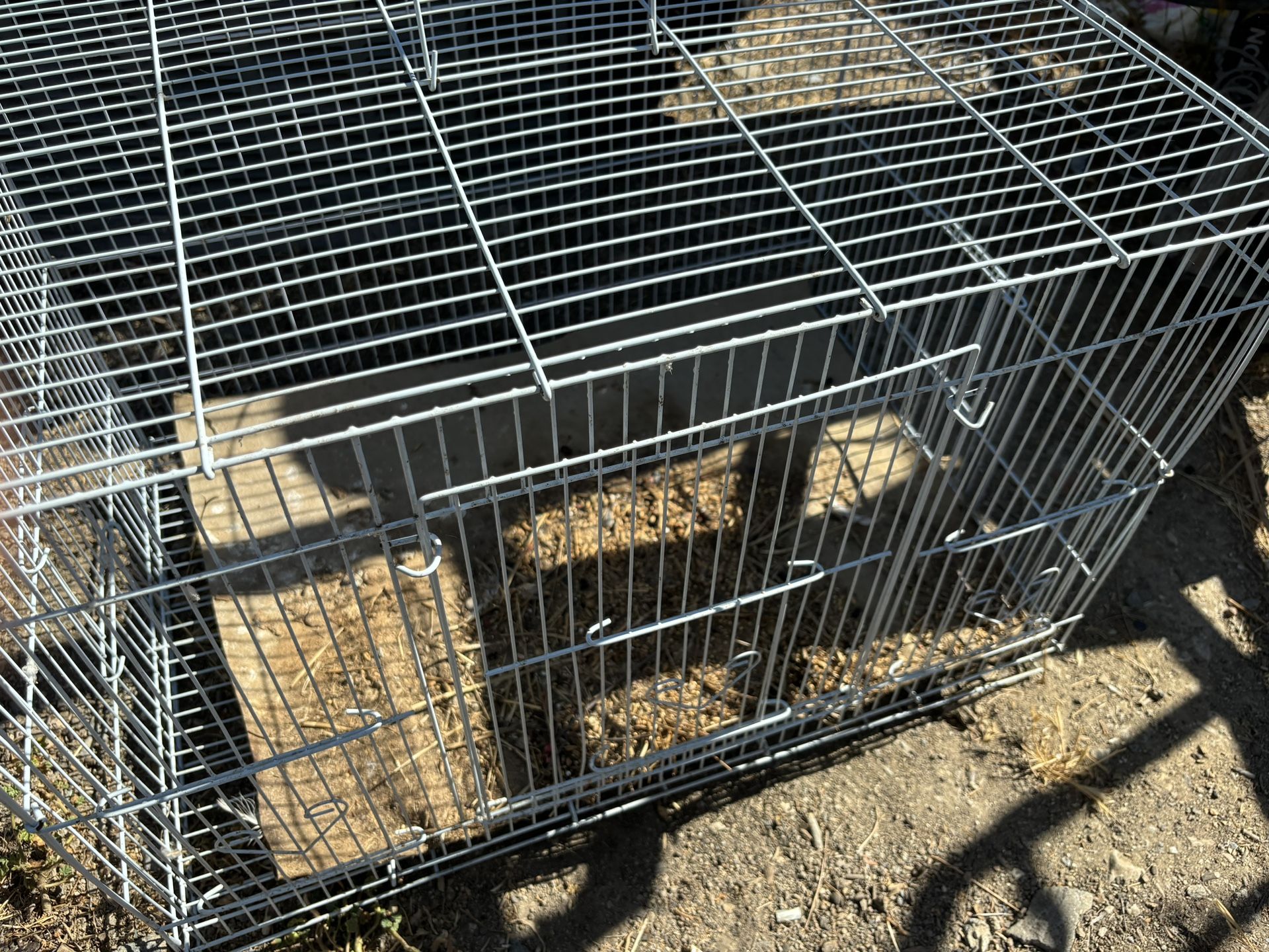 Bird Cage