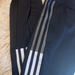 Adidas Pants