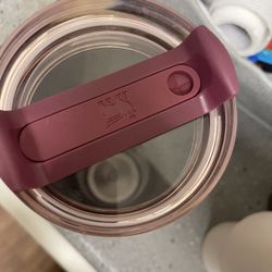 Limited Edition Stanley 