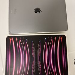 Apple iPod Pro Sliver Finish 256g Year 2022 (12.9 Size)