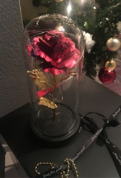 Beauty and the Beast Rose