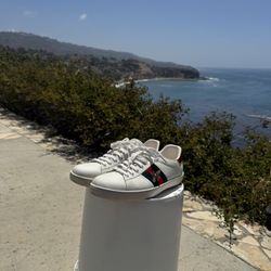 Gucci Ace