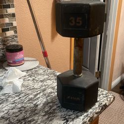 Single Dumbbell 35lbs 