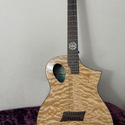 Electric And acoustic Guitar