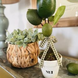 Mini Lime Tree Topiary/ Faux