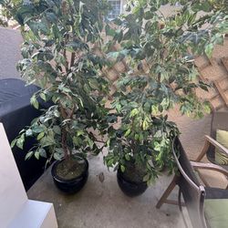 6ft Artificial Plants