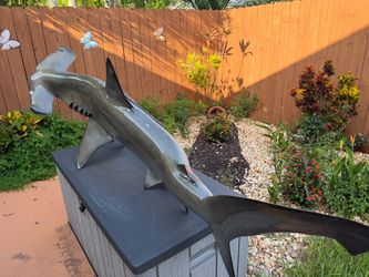 Hammerhead Shark 60 inch full mount fiberglass fish replica