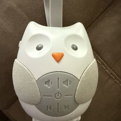 Changing Pad And Soother