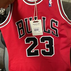 NBA Michael Jordan Jersey 
