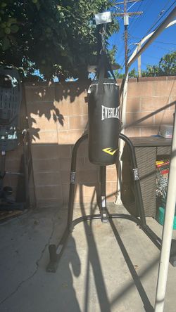 Punching bag and speed bag combo