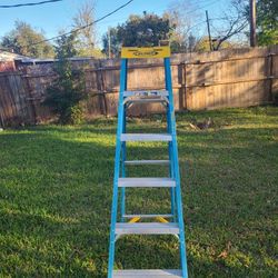 Werner 6ft Ladder