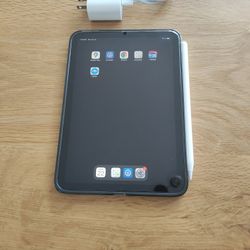 iPad Mini 6th Generation 256GB, WiFi, Cellular 