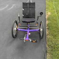 WizWheelz TerraTrike recumbent bicycle for sale
