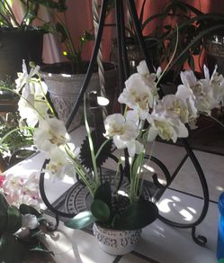 Home interiors decoration