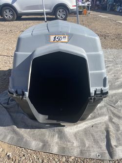 Dog House