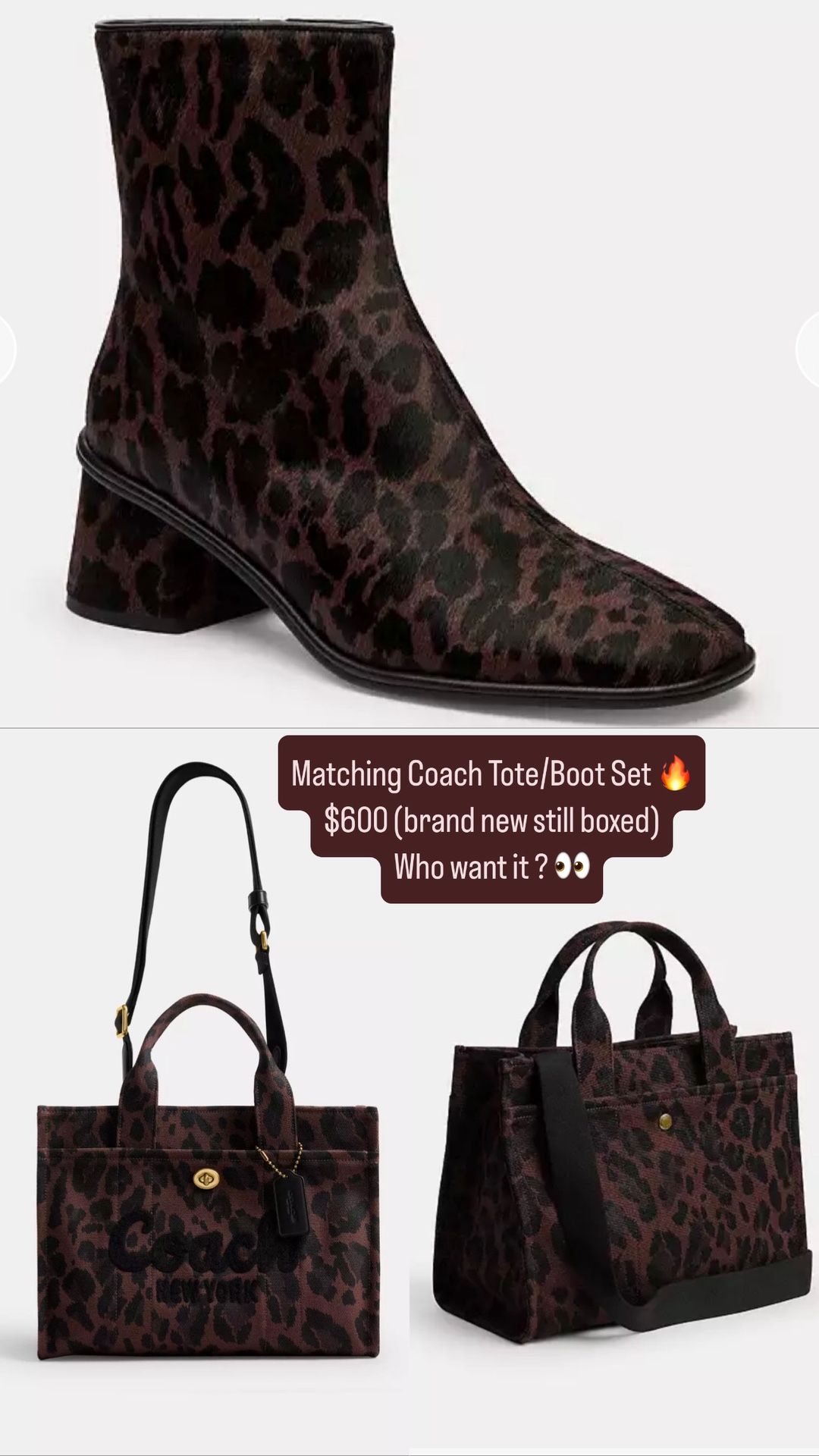 Brand new Coach Tote/Boot Set 