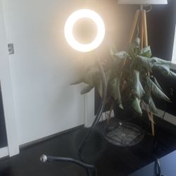 Ring Light For Desk