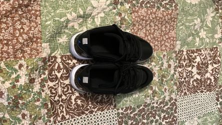 Low top Jordan 11s Size 13