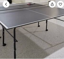 Ping Pong Table with Net