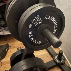 230 Lb Olympic Weights & Stand  