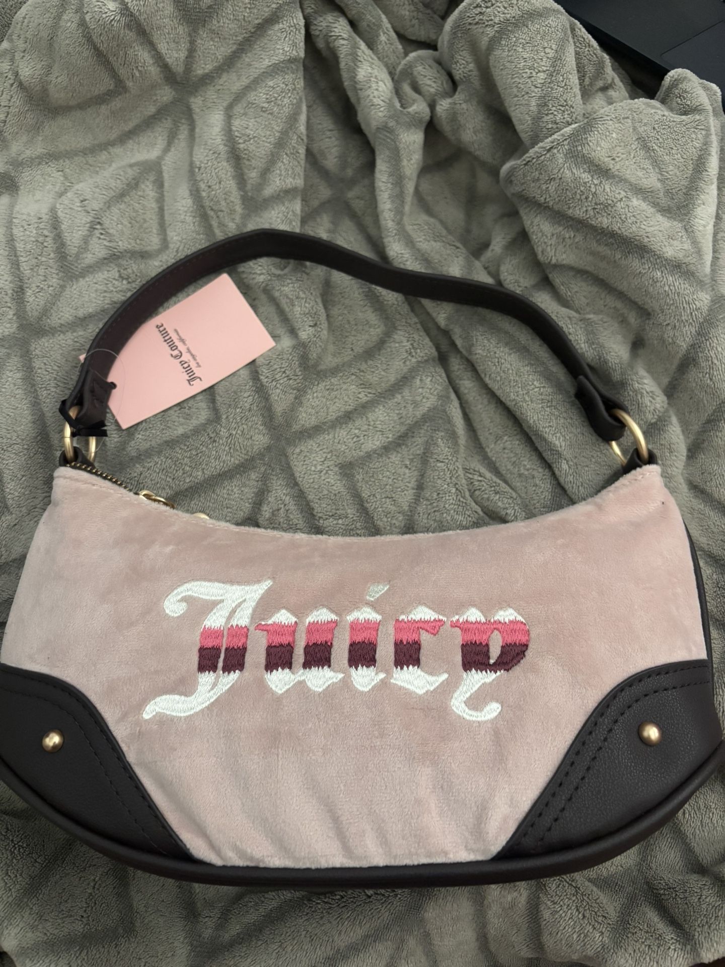 Brand New Juicy Bag