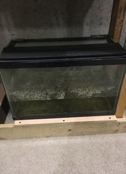 15 gallon fish tank