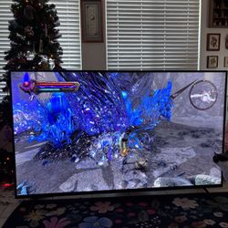 VIZIO  65” TV