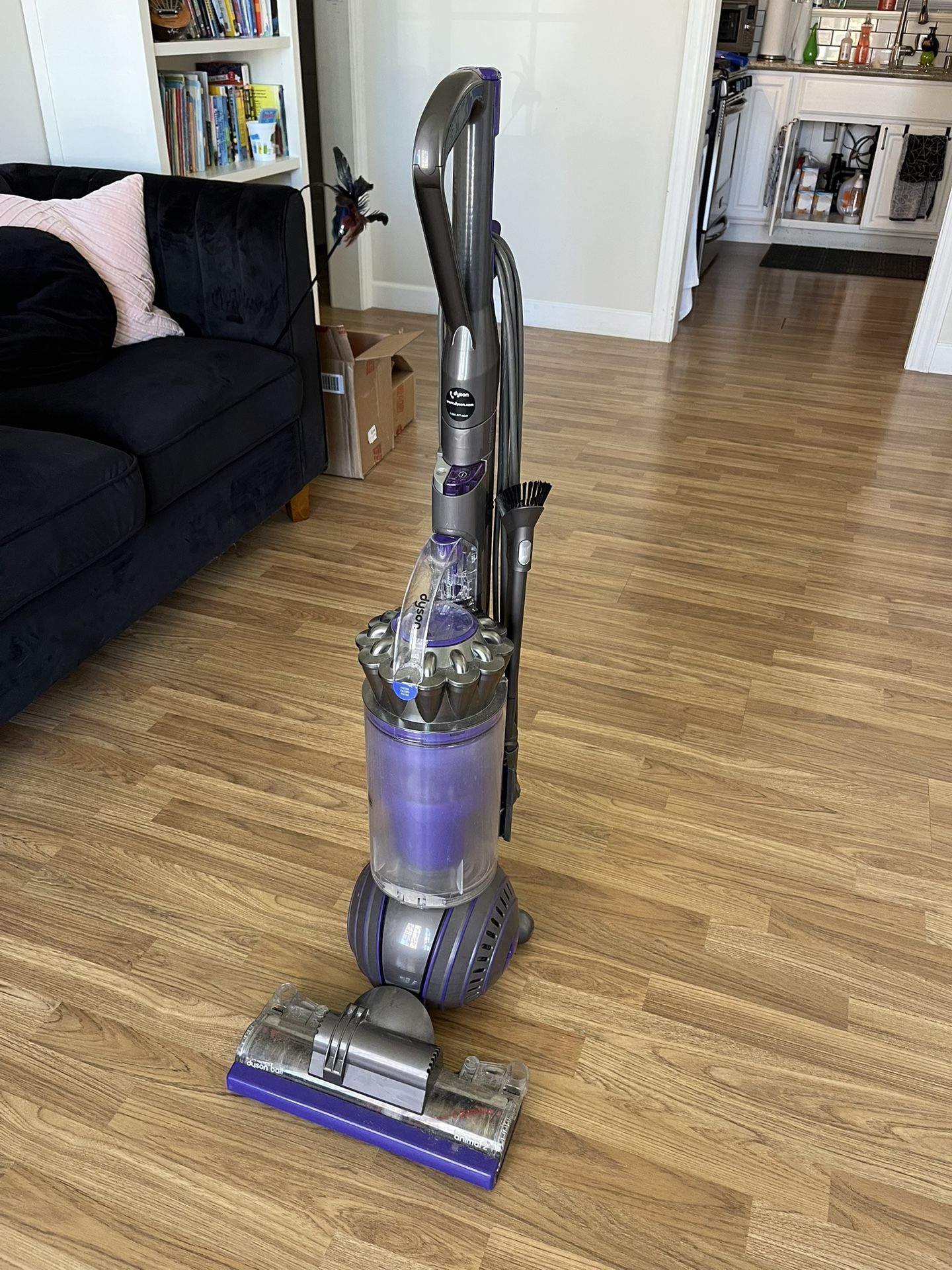 Dyson Ball