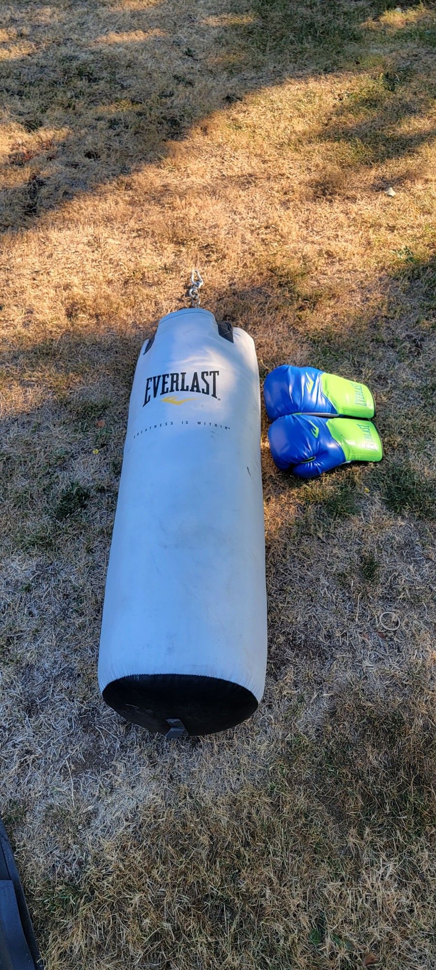Punching Bag With Gloves