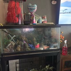 Aquarium 50 Gallon 