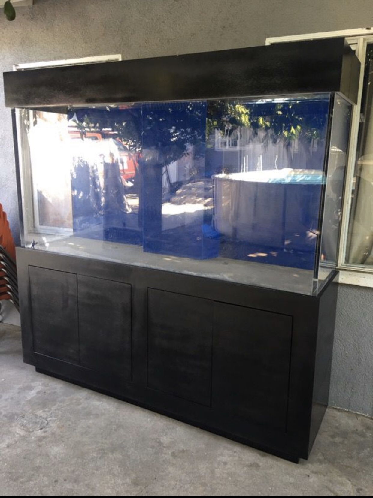 240 Gallon aquarium fish tank