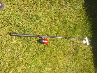 gold fish pole$25