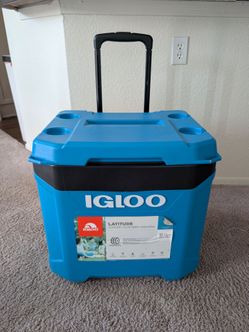 60 Qt Cooler