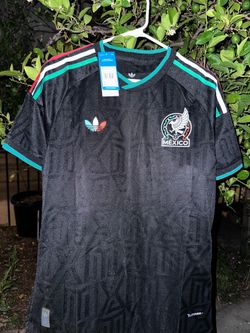Mexico Player Version