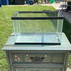 Aquarium/fish tank/terrarium
