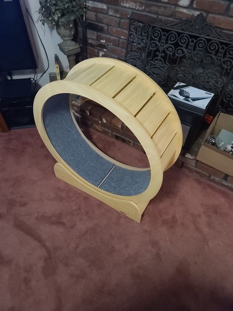 Cat Treadmill