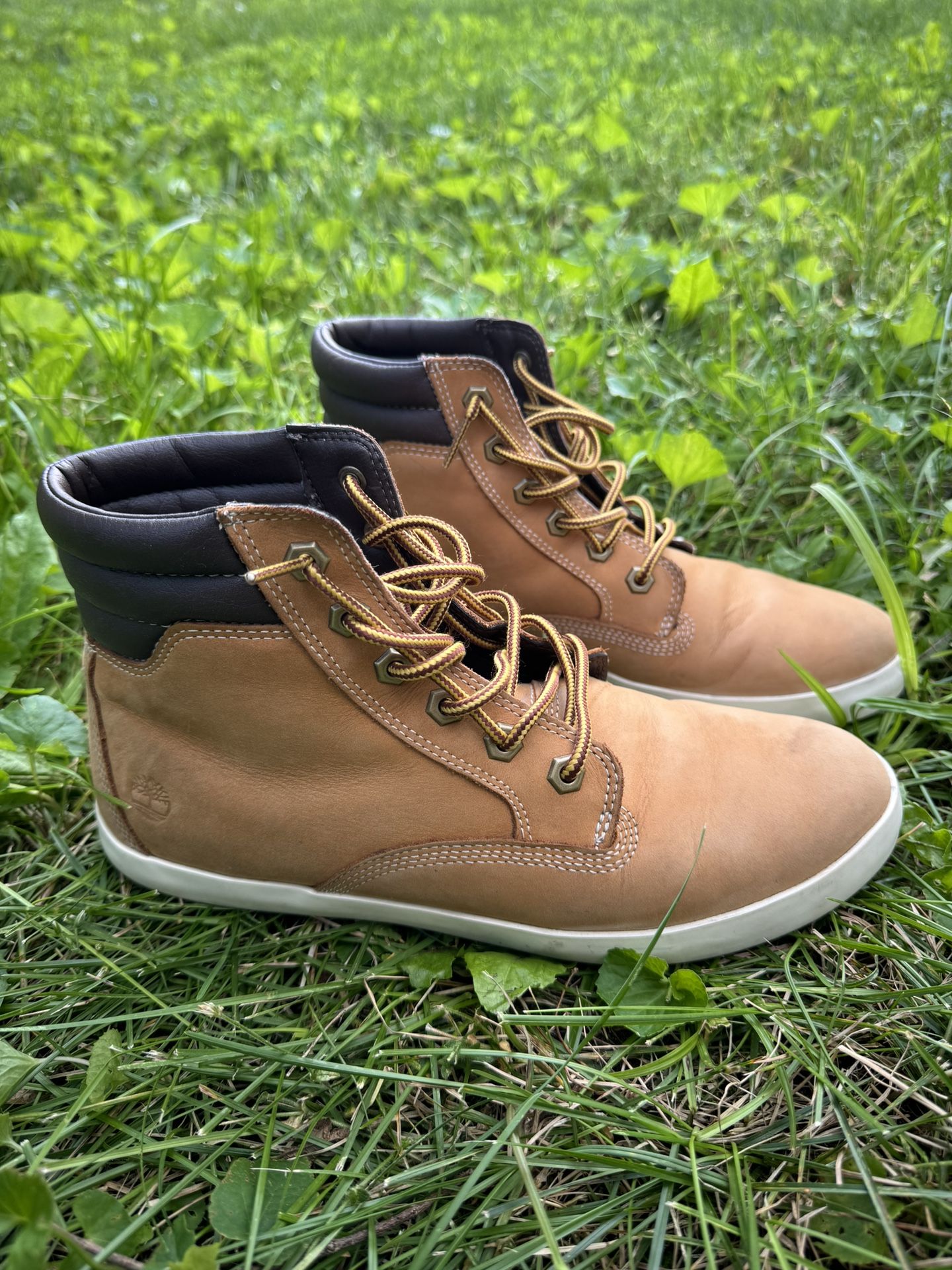Timberland Dausette Sneaker Boots